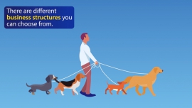 business structure